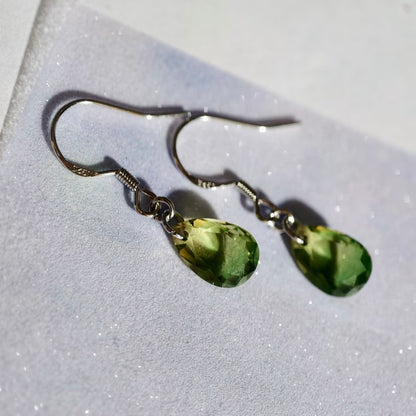 Belong Fish / Star / Tabby / Jasmine Soulmate-Inspired Earrings