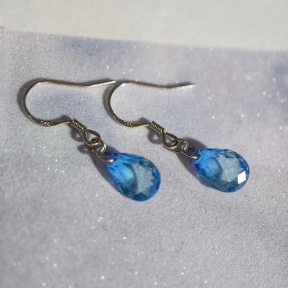 Belong Fish / Star / Tabby / Jasmine Soulmate-Inspired Earrings